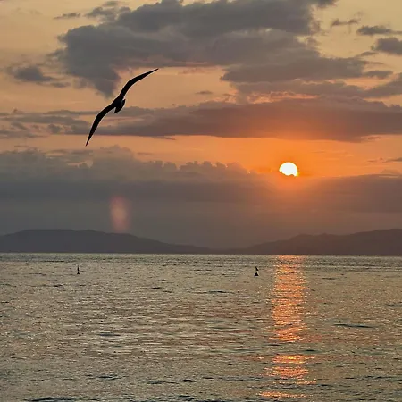 Vanna Sunset Daire